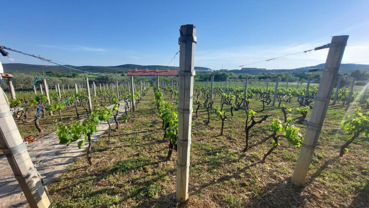 Luxury Skalinada Near Beaches, - Dalmatia *